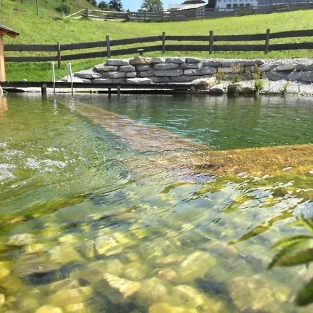 Sonnleit'n 7 Vakantieboerderij Abtenau