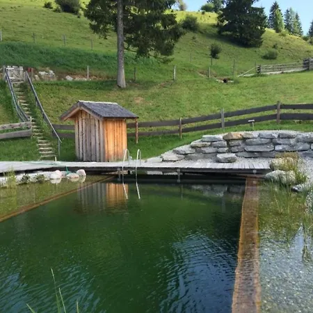 Farm stay Sonnleit'n 7 Abtenau
