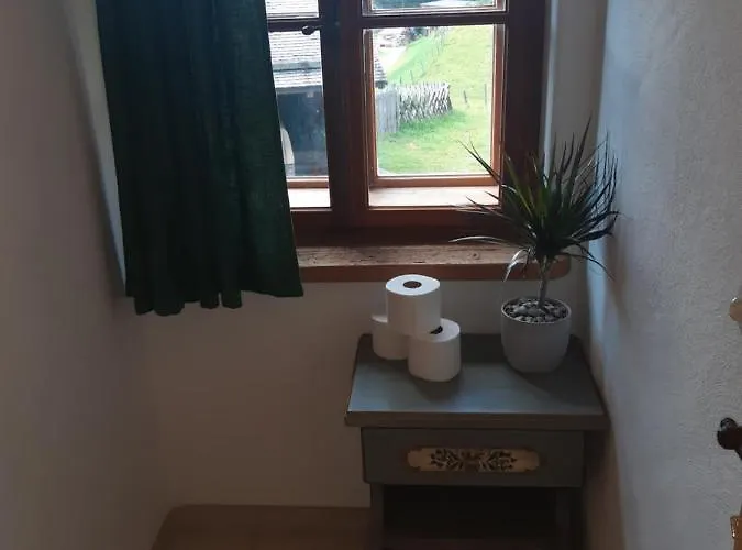 Sonnleit'n 7 Farm stay